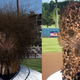 Illustration for article titled Horrifying MLB The Show Glitch Is Not Okay